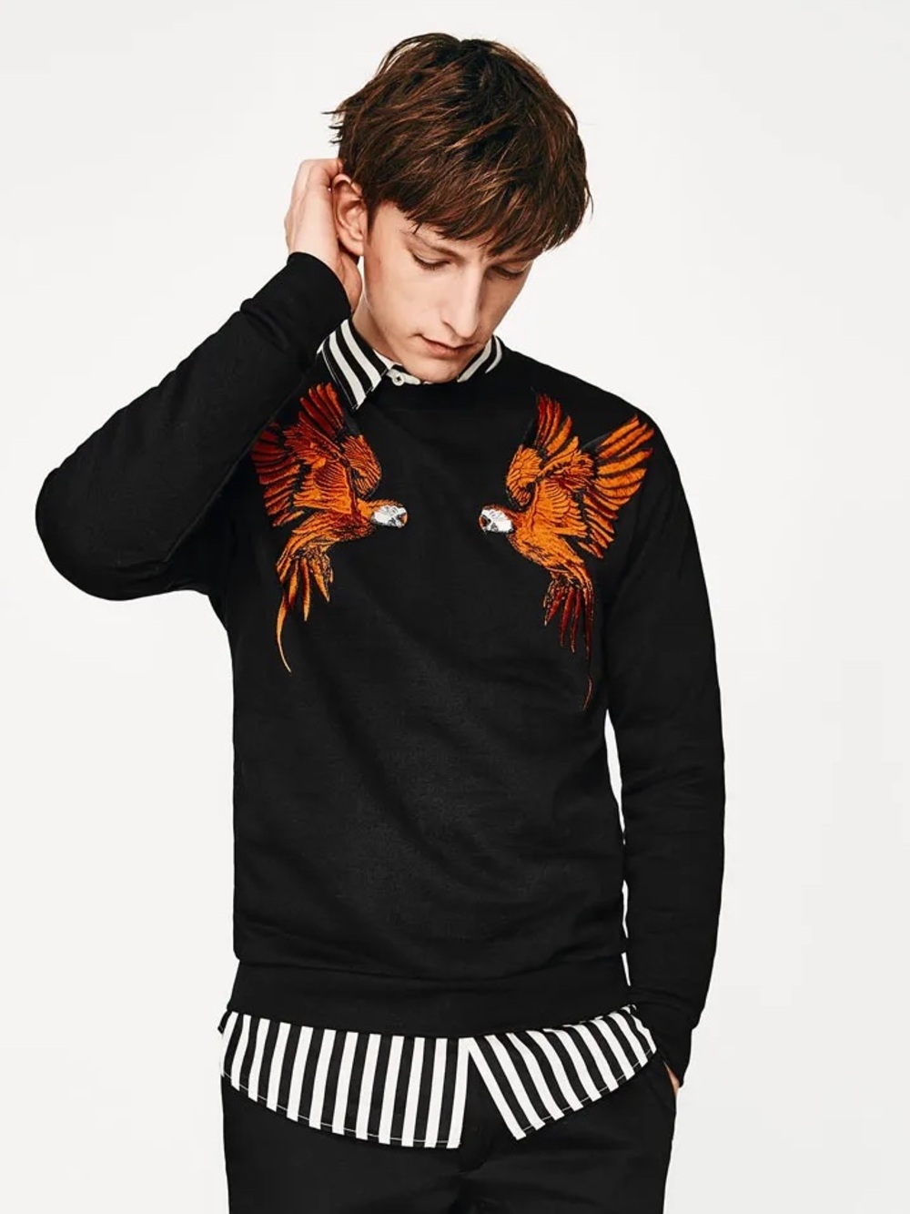 Zara Black Crewneck Sweater with Orange Parrot Embroidery Large